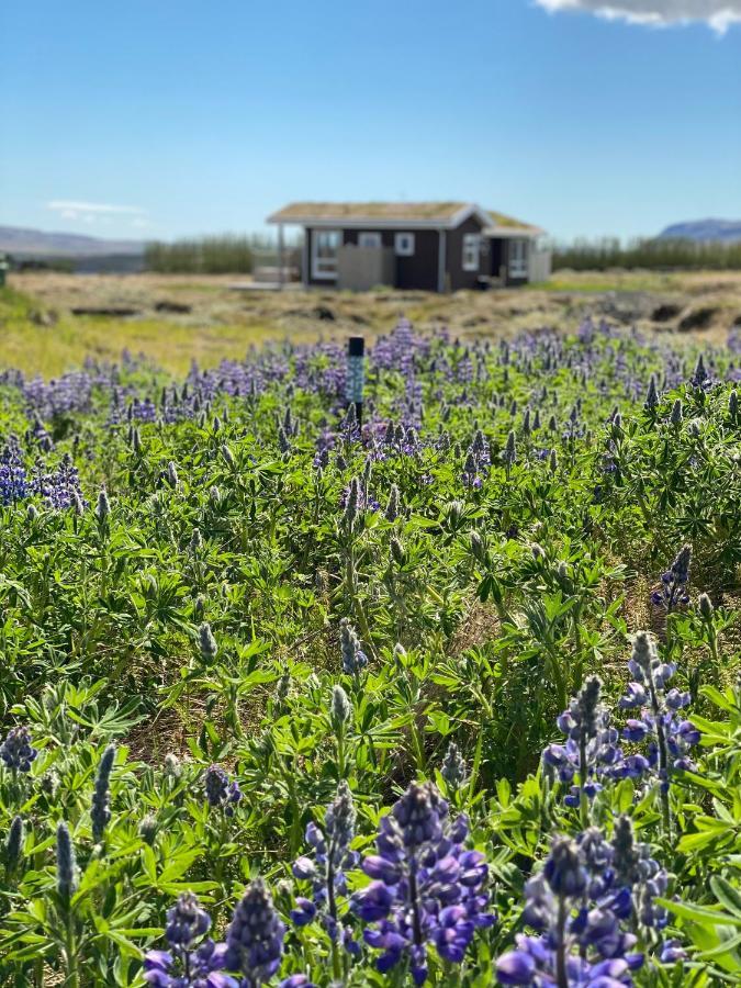 Blue View Cabin 5B With Private Hot Tub Reykholt  Exterior photo